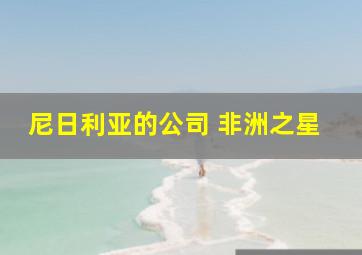 尼日利亚的公司 非洲之星